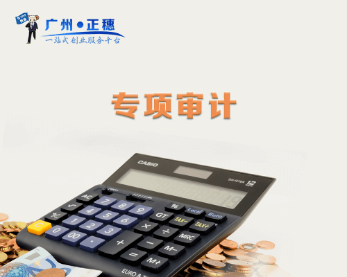 專項(xiàng)審計(jì)