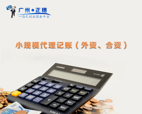 小規(guī)模代理記賬（外資、合資）