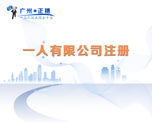 一人有限公司注冊