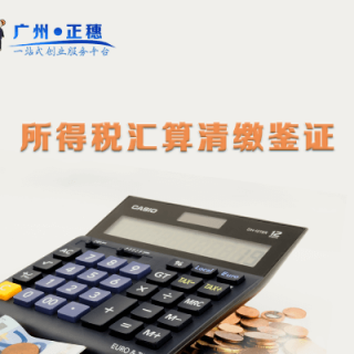 所得稅匯算清繳鑒證（年收入50萬(wàn)以內(nèi)）