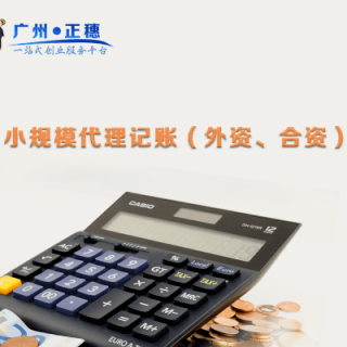 小規(guī)模代理記賬（外資、合資）