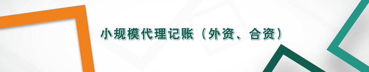 小規(guī)模代理記賬（外資、合資）