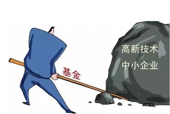 技型中小企業創業投資引導基金項目 技型中小企業創業投資引導基金項目