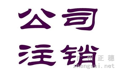 廣州公司注銷清算報告范本