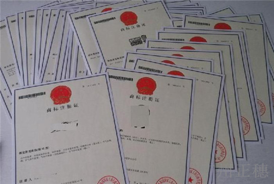 廣州商標注冊代理公司從事什么業務