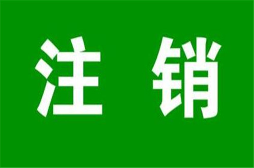 廣州有限公司注銷股東會決議