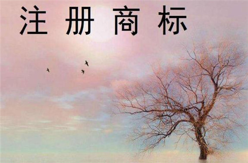 廣州商標注冊了還能被撤銷 這些問題你一定要重視